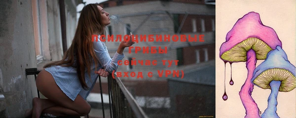 твердый Лабытнанги