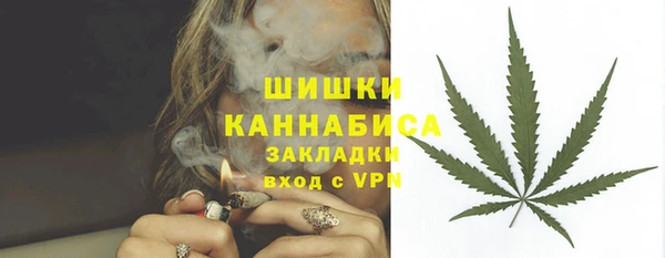бошки Лагань