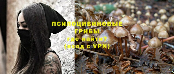 твердый Лабытнанги