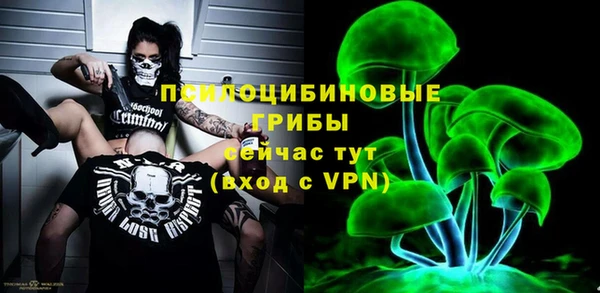 твердый Лабытнанги