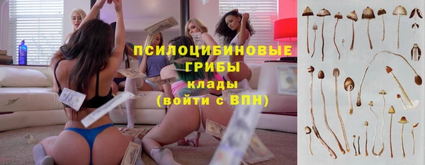 бошки Лагань