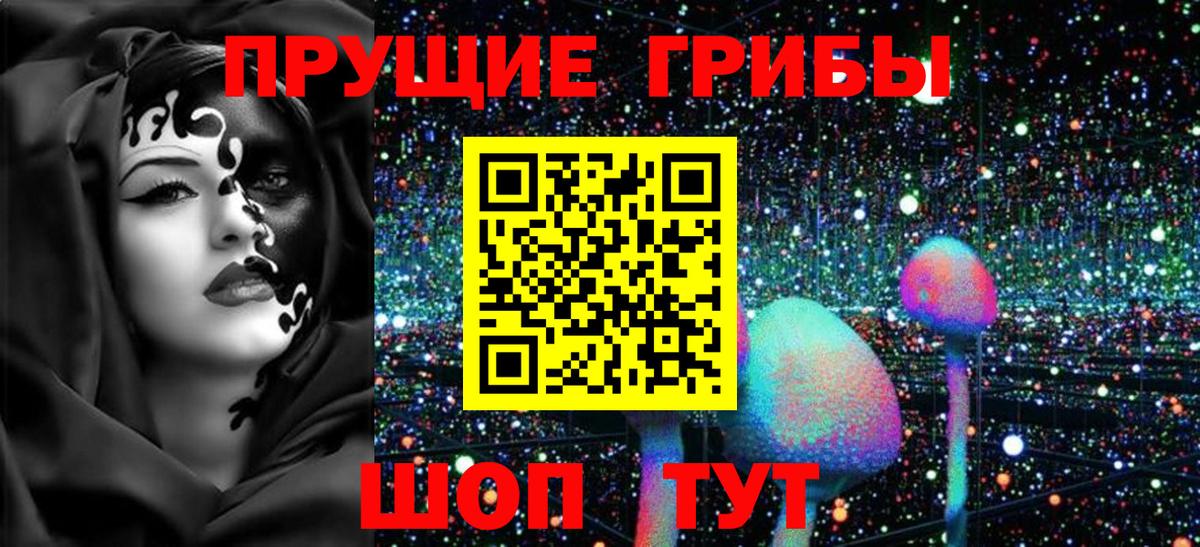 Псилоцибиновые грибы MAGIC MUSHROOMS  Вологда  Галлюциногенные грибы MAGIC MUSHROOMS 